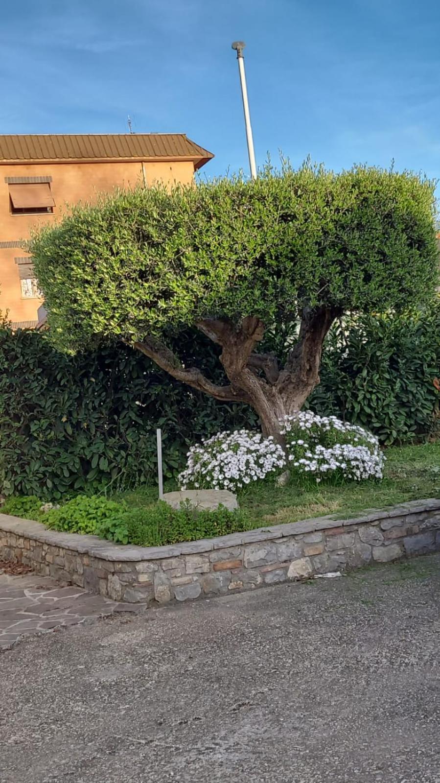 Casetta Delle Fiabe Roma Dış mekan fotoğraf